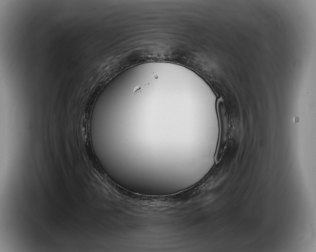X0000085321202200703091108