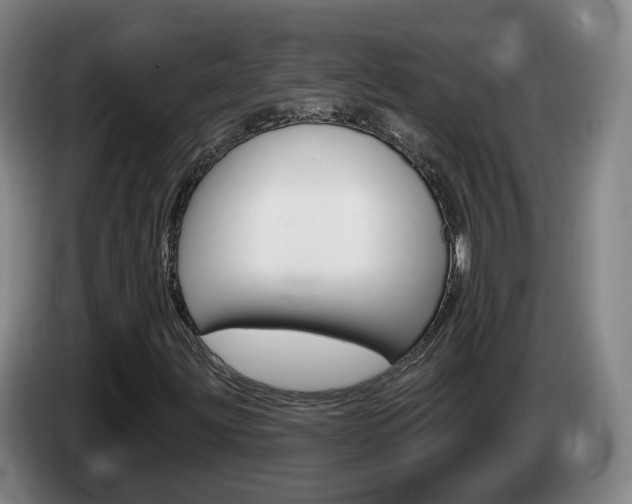 X0000085321203200703091108
