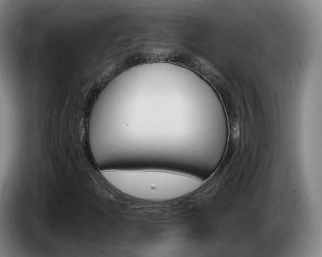 X0000085321204200703091108
