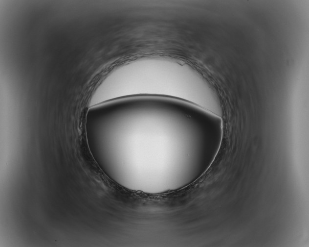 X0000085321206200703091108
