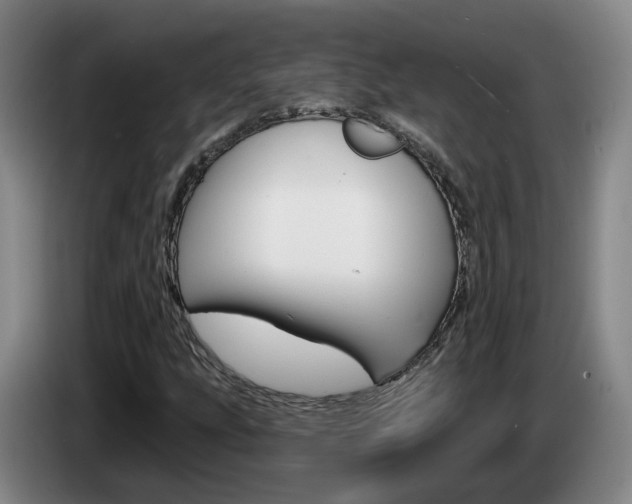 X0000085321207200703091108