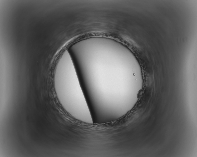 X0000085321208200703091108