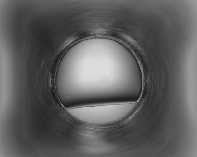 X0000085321209200703091108