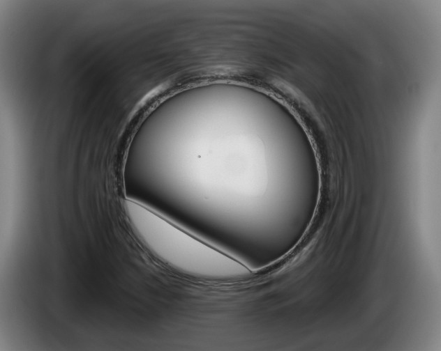 X0000085321210200703091108
