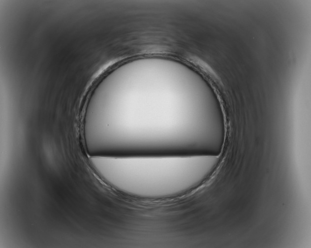 X0000085321212200703091108