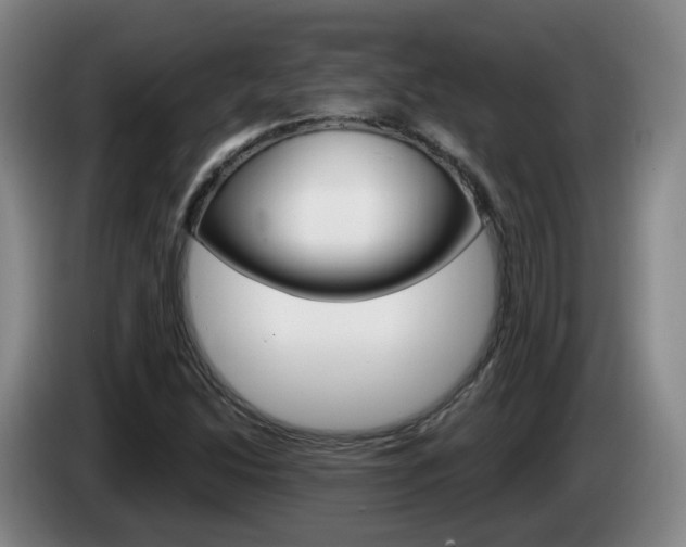 X0000085321214200703091108