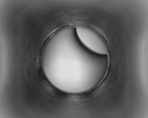 X0000085321217200703091108
