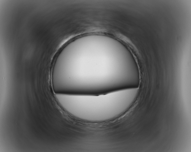 X0000085321220200703091108