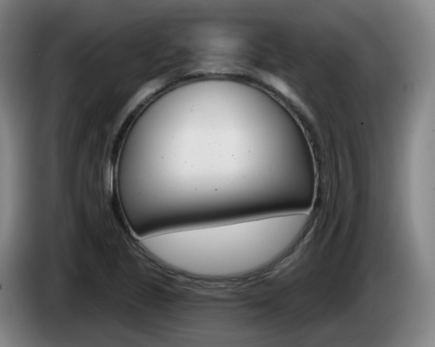 X0000085321221200703091108