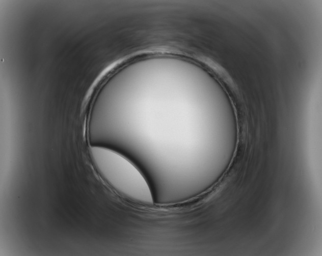 X0000085321224200703091108