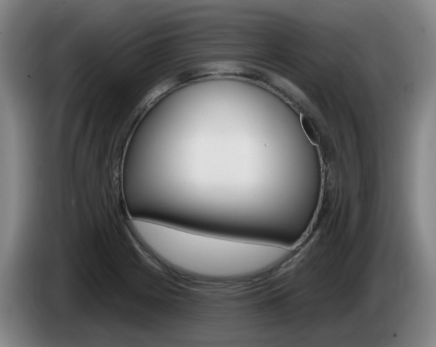 X0000085321225200703091108