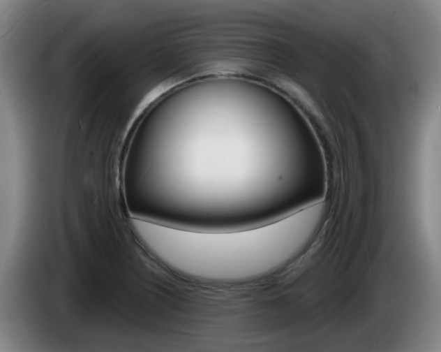 X0000085321226200703091108