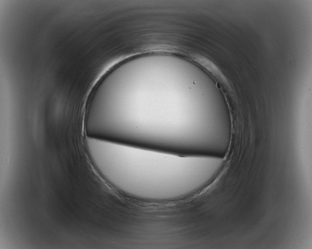 X0000085321228200703091108