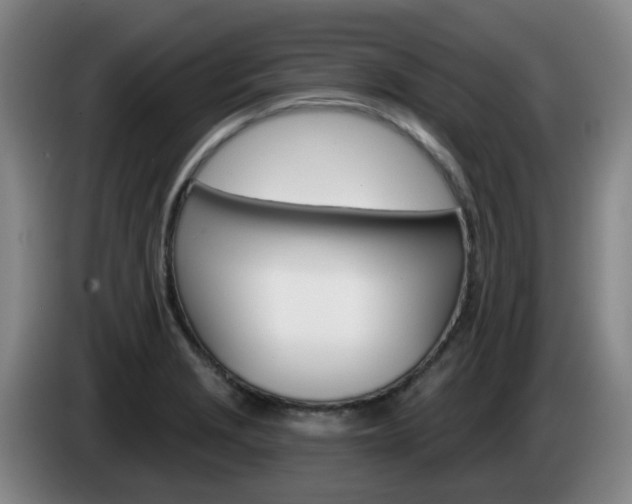 X0000085321229200703091108
