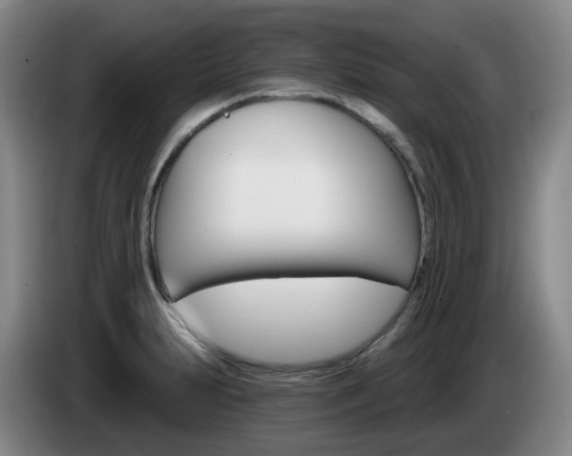 X0000085321231200703091108