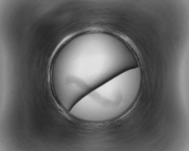 X0000085321232200703091108