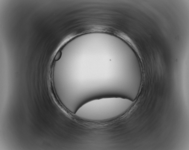 X0000085321235200703091108
