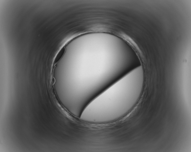 X0000085321236200703091108