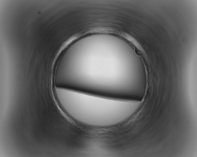 X0000085321237200703091108
