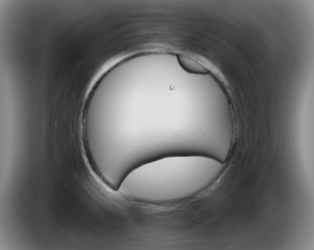 X0000085321239200703091108