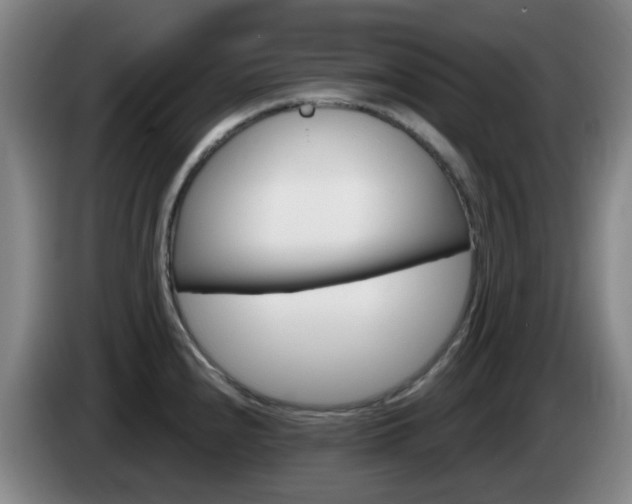 X0000085321240200703091108