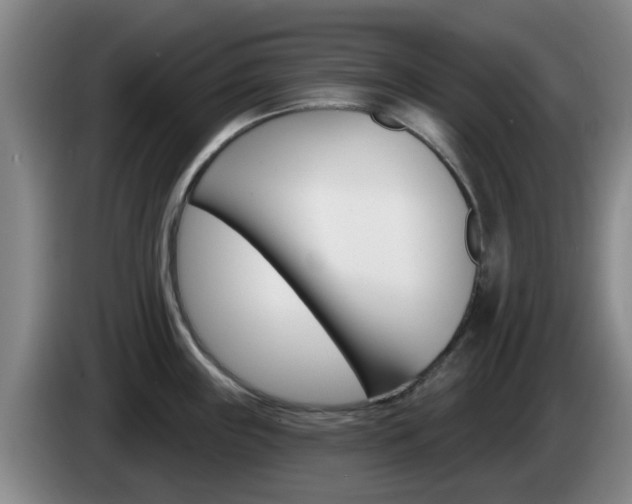 X0000085321243200703091108