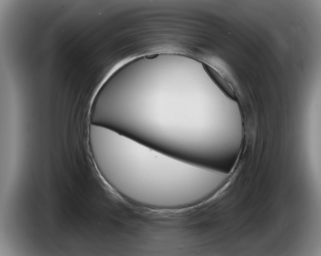 X0000085321244200703091108