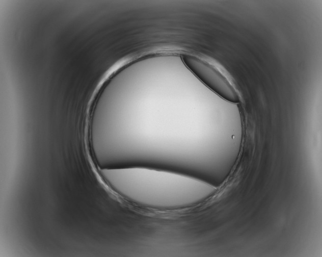 X0000085321245200703091108
