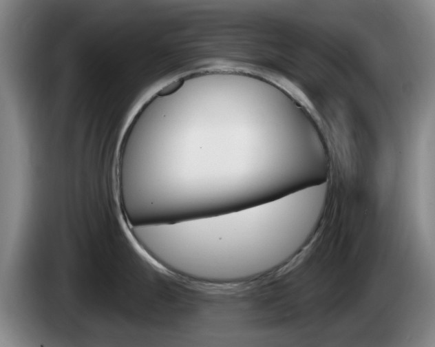 X0000085321247200703091108