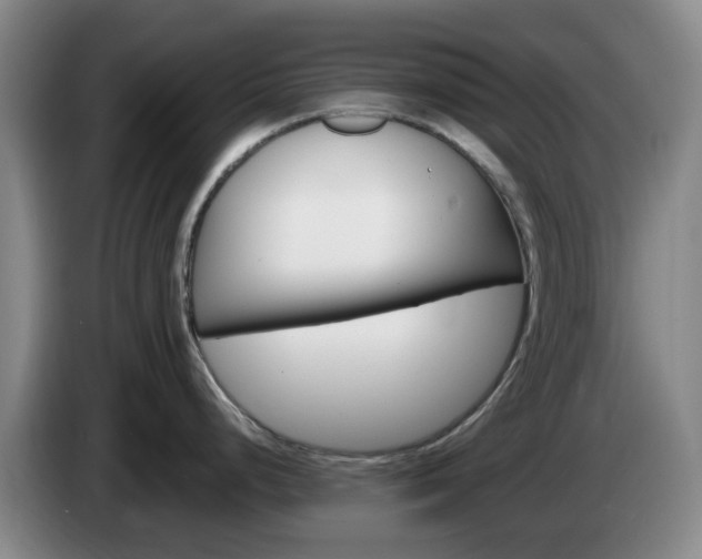 X0000085321248200703091108