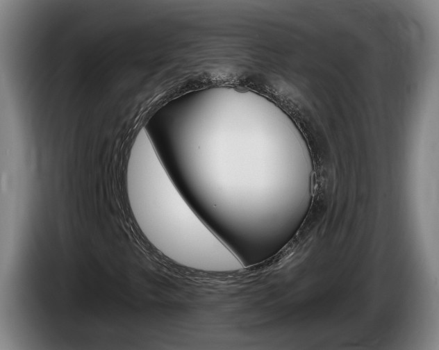 X0000085321249200703091108