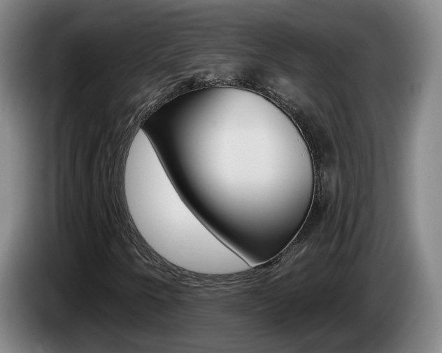 X0000085321250200703091108