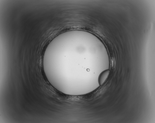 X0000085321251200703091108