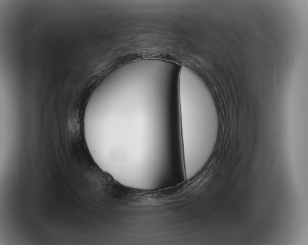 X0000085321252200703091108