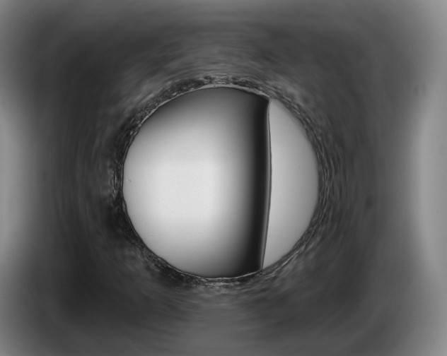 X0000085321253200703091108