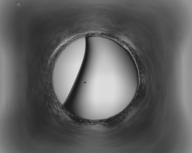 X0000085321256200703091108