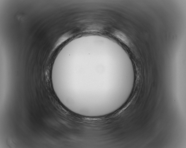 X0000085321258200703091107