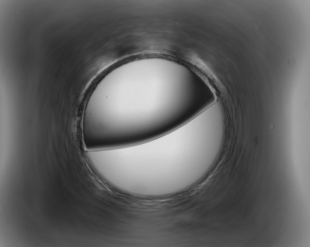 X0000085321260200703091107