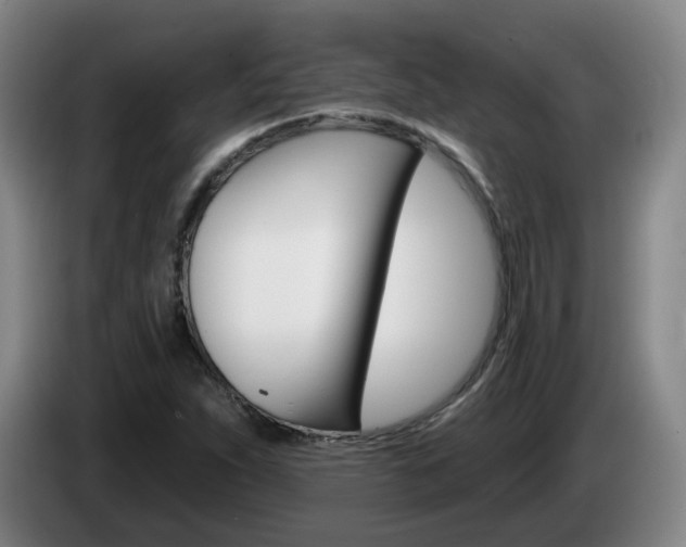 X0000085321263200703091107