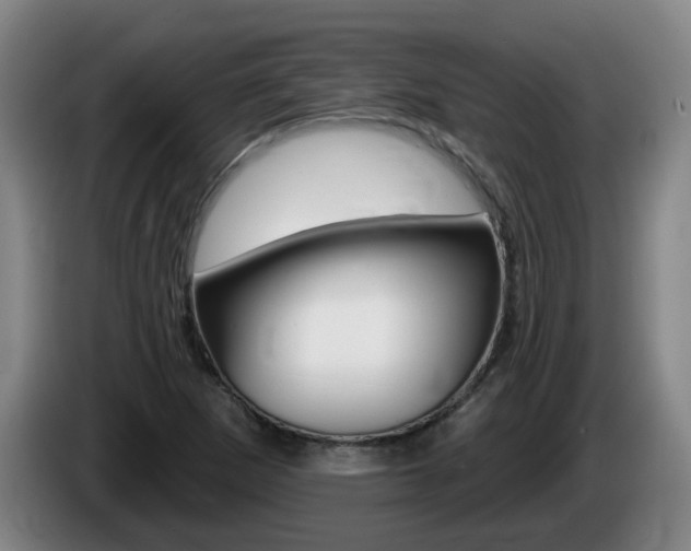 X0000085321265200703091107