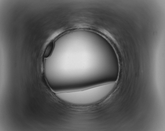 X0000085321269200703091107