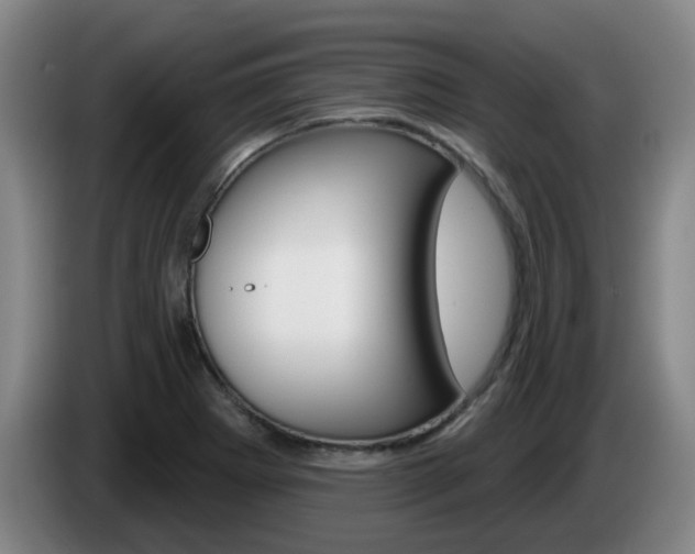 X0000085321273200703091107