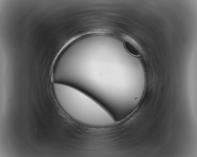 X0000085321276200703091107