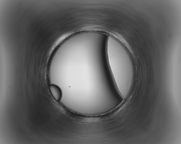 X0000085321277200703091107