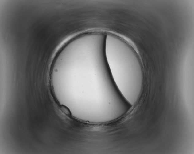X0000085321279200703091107