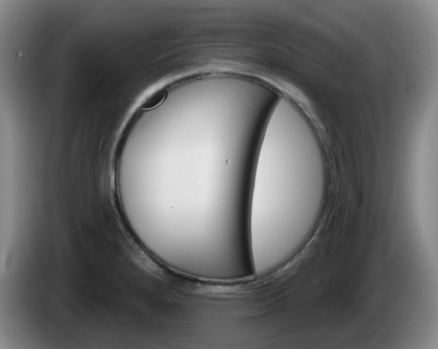X0000085321280200703091107