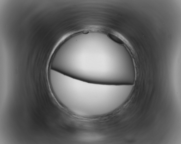 X0000085321283200703091107