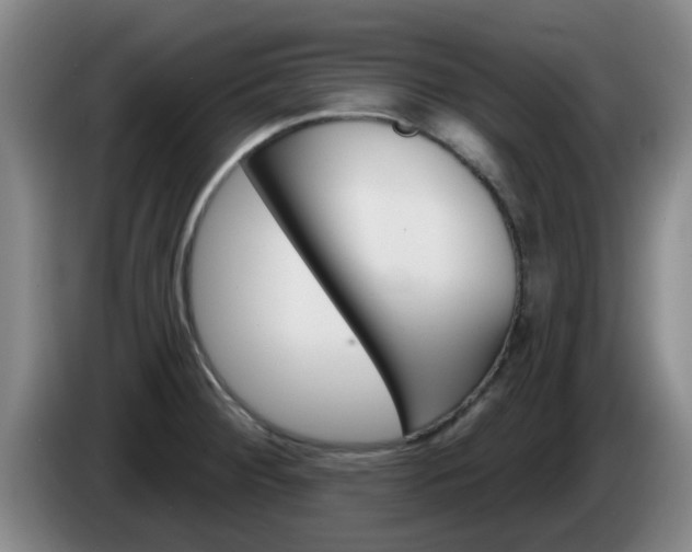 X0000085321284200703091107