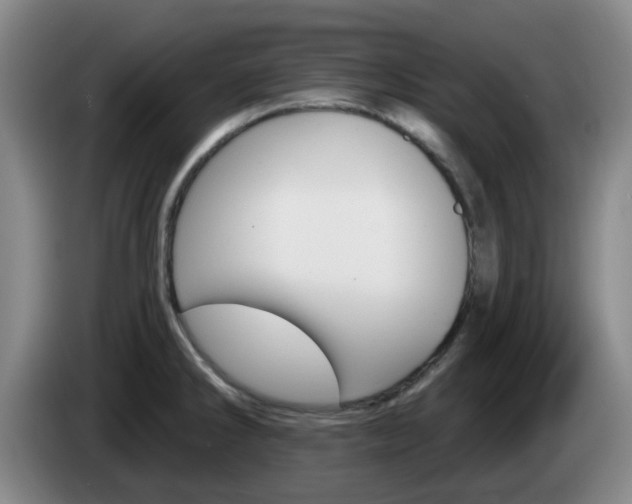 X0000085321286200703091107