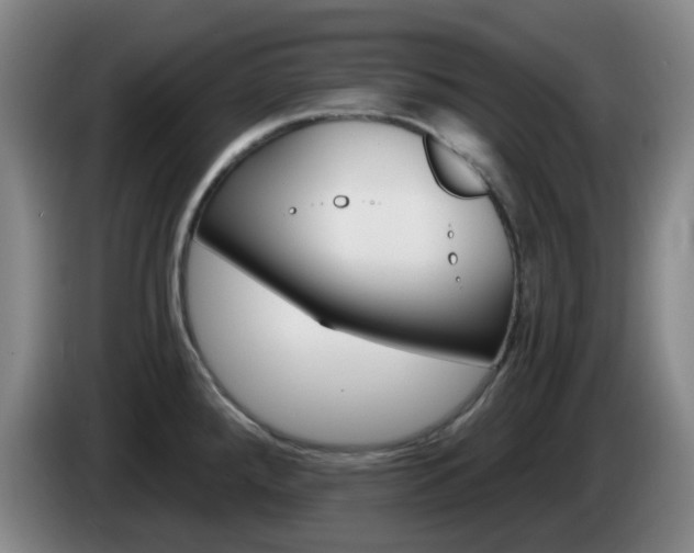 X0000085321288200703091107